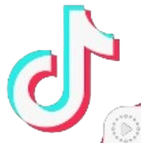 Tiktok Live